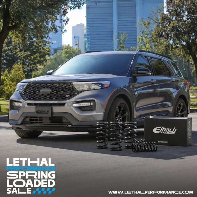 eibach springs st 1x1.jpg